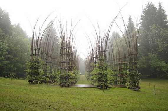 Cathedral-Made-Live-Trees