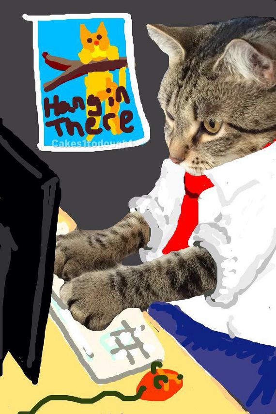 Cats-Plus
