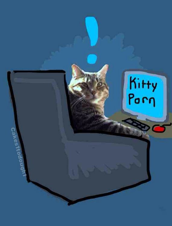 Cats-Plus