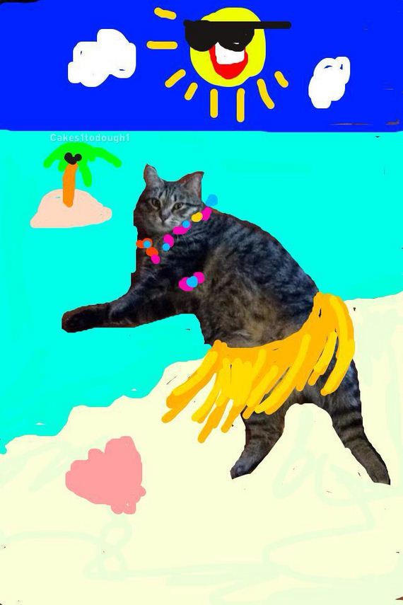 Cats-Plus