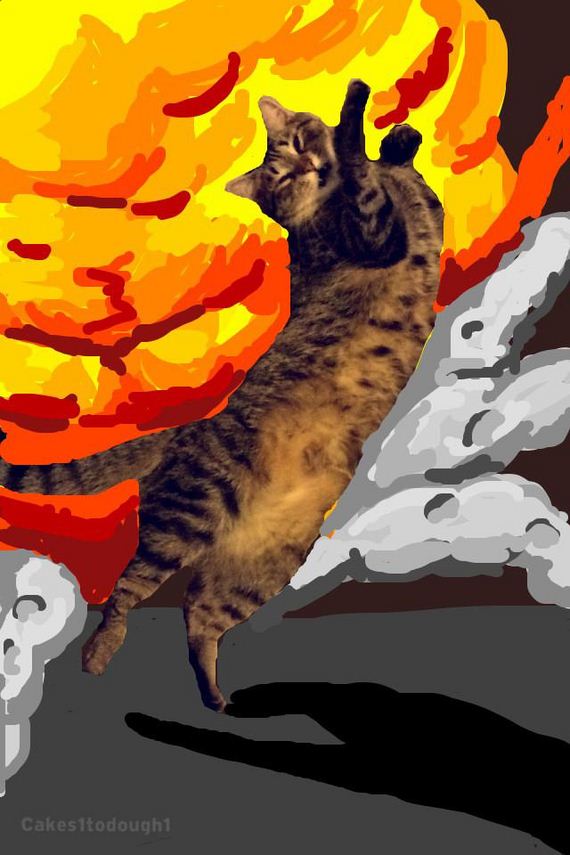 Cats-Plus