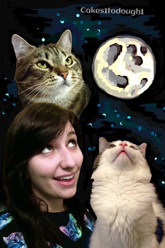 Cats-Plus