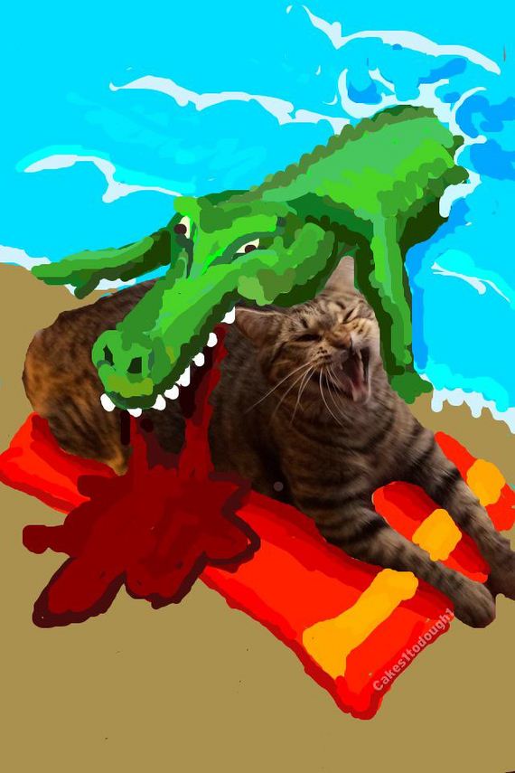 Cats-Plus