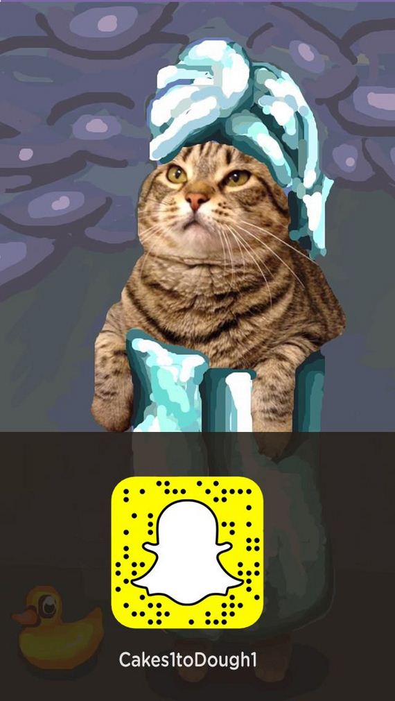 Cats-Plus