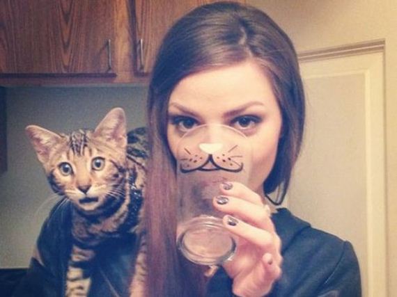 Caturday-Best-Day