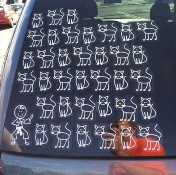 Caturday-Best-Day