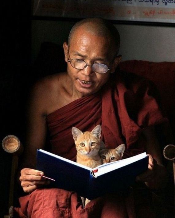 Caturday-Best-Day
