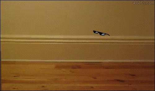Caturday-Best-Day