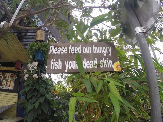 Funny-sign