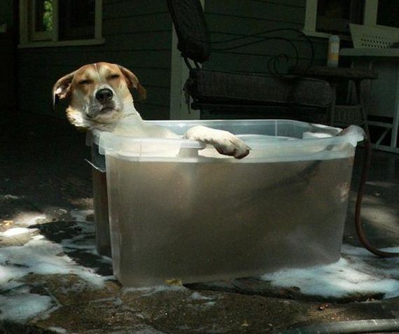 Hot-fails-going