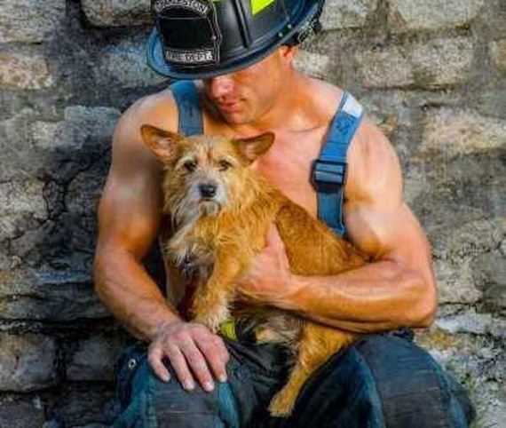 Hot-firefighters-puppies.