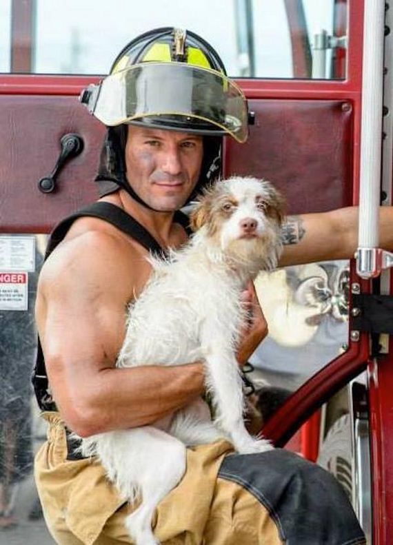 Hot-firefighters-puppies