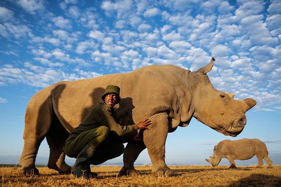 Kenya-extinction-rhino
