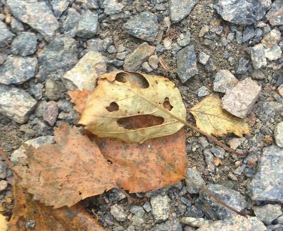 Pareidolia-photo