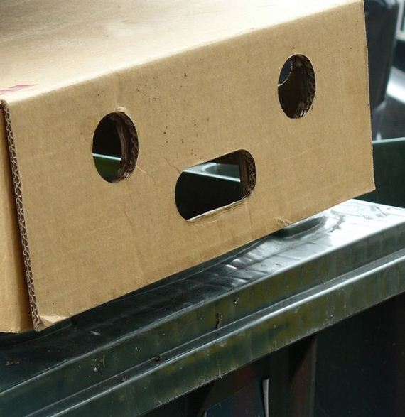 Pareidolia-photo