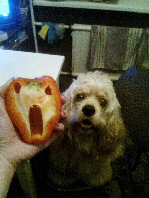 Pareidolia-photo