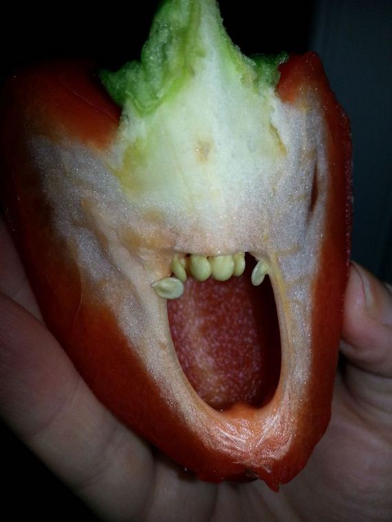 Pareidolia-photo