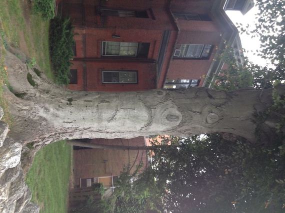 Pareidolia-photo