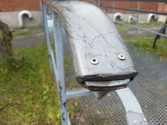 Pareidolia-photo