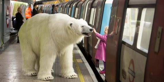 Polar-Bear-London