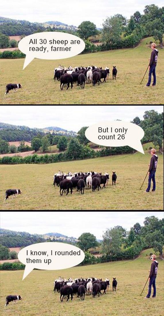 Puns-Are-Bad
