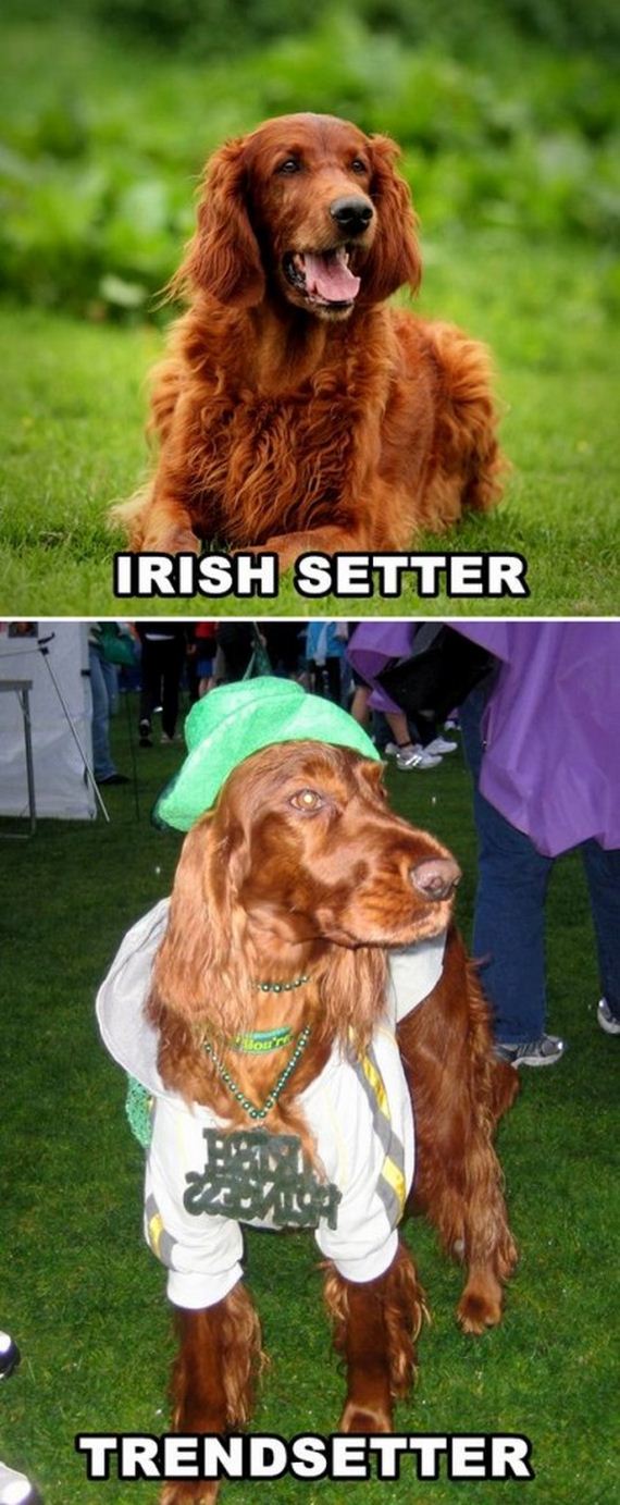 Puns-Are-Bad