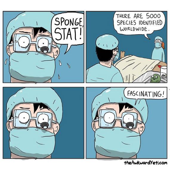Puns-That-Are