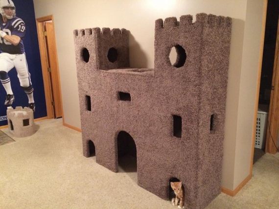 Spoiled-Cats