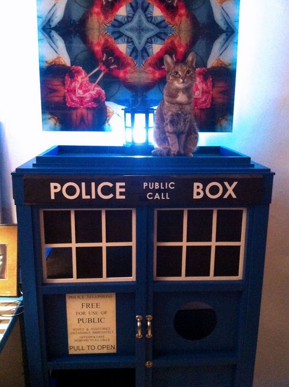 Spoiled-Cats