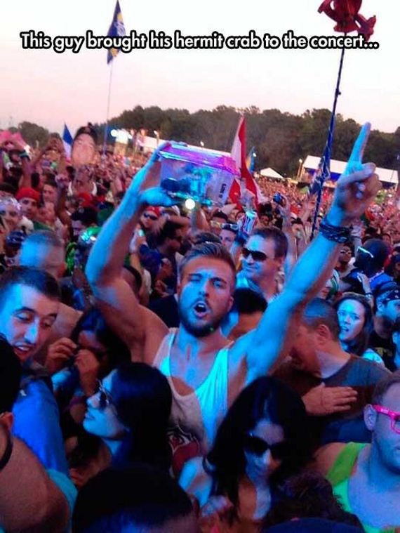 The 20 Greatest Things Ever Spotted At A Music Concert