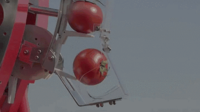 Tomato-Dispensing-Robot