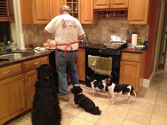 a_little_thanksgiving_humor_to_brighten_your_day