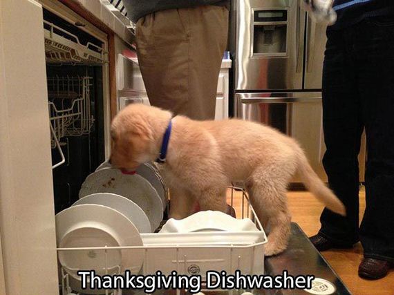 a_little_thanksgiving_humor_to_brighten_your_day