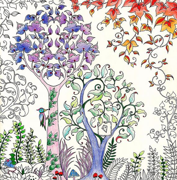 adult-book-coloring