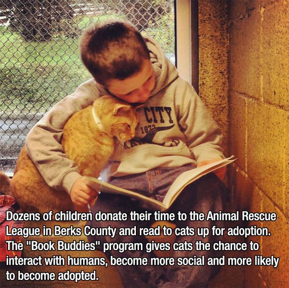 amazing_kids