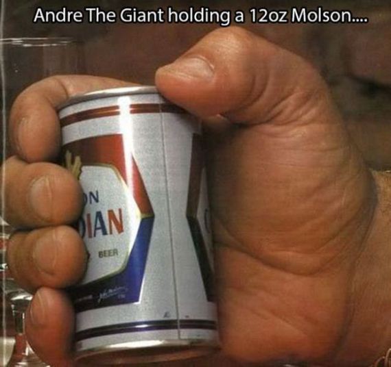 andre_the_giant