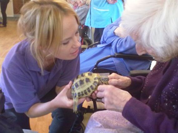 animal-home-retirement