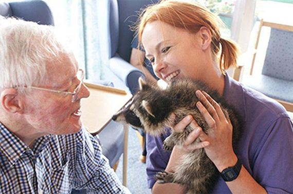 animal-home-retirement