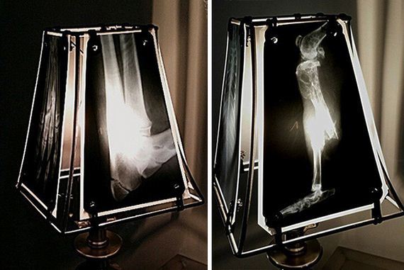 animal-lamp-ray