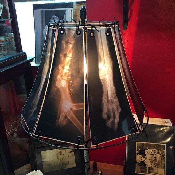 animal-lamp-ray