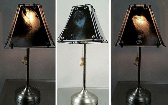 animal-lamp-ray