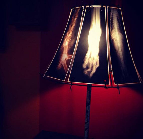 animal-lamp-ray