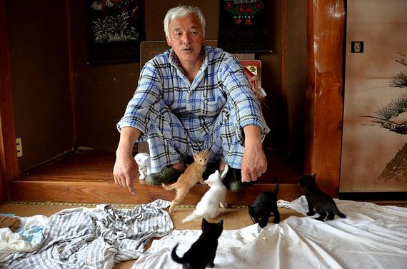 animals-feeding-fukushima