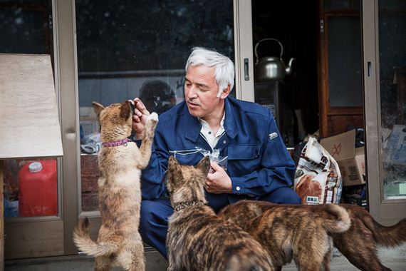 animals-feeding-fukushima