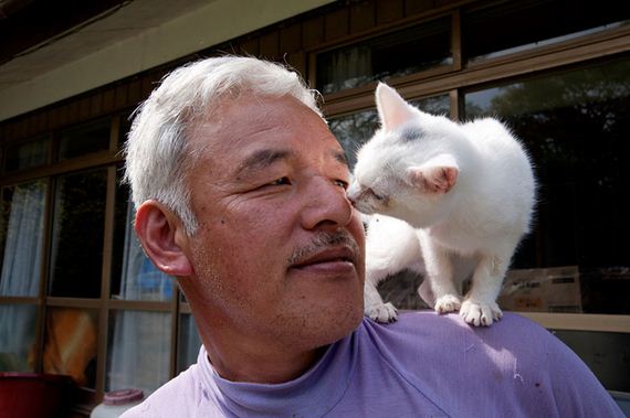 animals-feeding-fukushima
