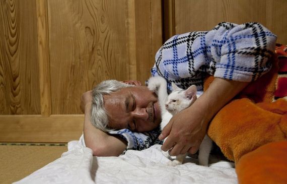 animals-feeding-fukushima