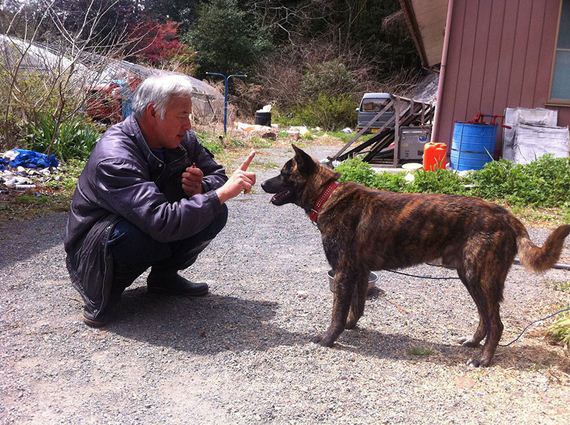 animals-feeding-fukushima