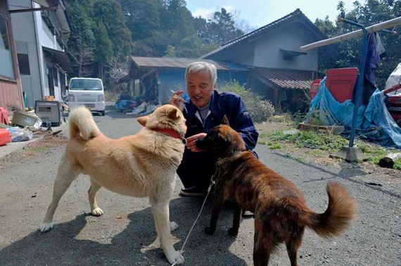 animals-feeding-fukushima