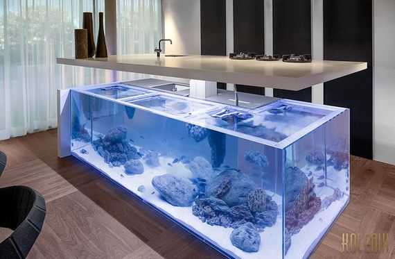 aquarium-island-kitchen