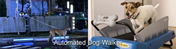 back_to_the_future